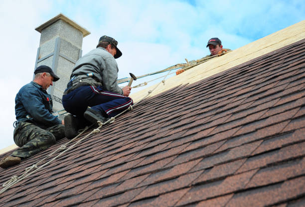 Best Storm Damage Roof Repair  in Wray, CO